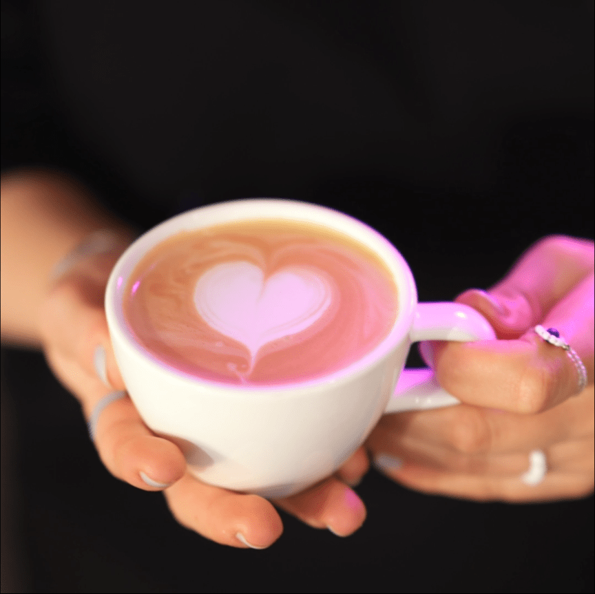 Warsztaty walentynkowe w JAVA University