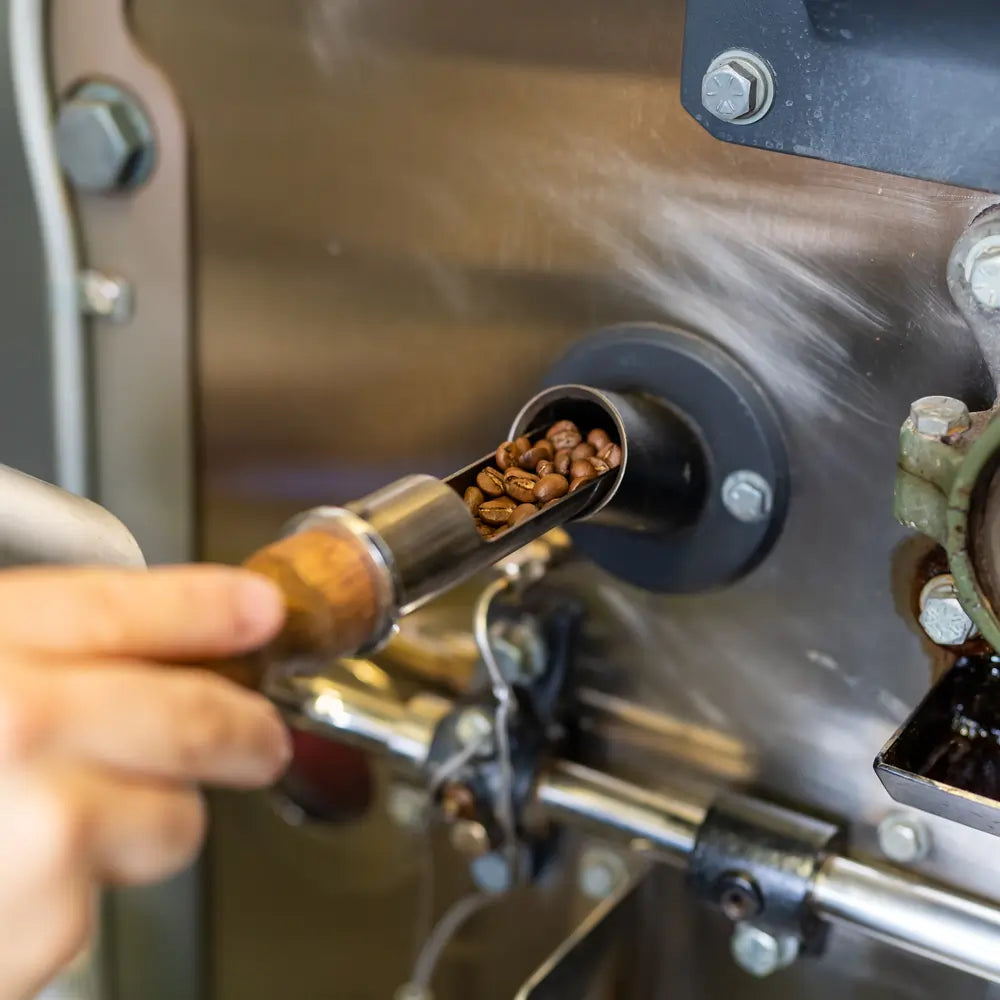 Ręka trzymająca próbnik z palonymi ziarnami kawy, wyjmowany z pieca rzemieślniczego w palarni. W tle widać metalowe elementy maszyny do wypalania kawy.