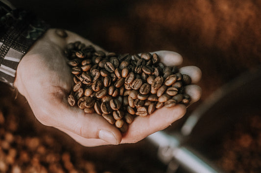 Dłoń ze świeżo wypalonymi ziarnami kawy.