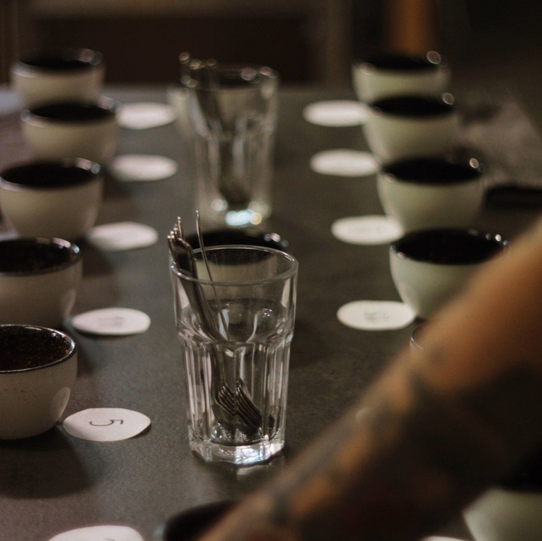 Ustawione na stole filiżanki z kawą, oznaczone kolejno numerkami, przygotowane do cuppingu kawy.