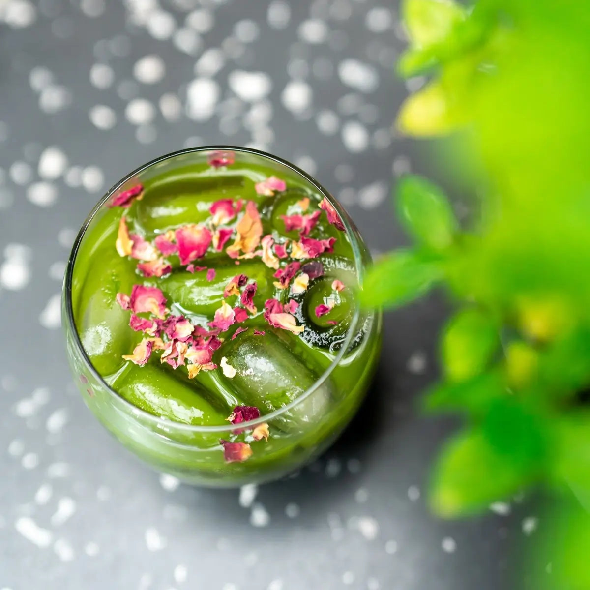 Odkryj przepis na Coconut Matcha – zieloną herbatę z nutą kokosa, idealną na orzeźwiającą przerwę. Matcha + mleko kokosowe = idealny duet 