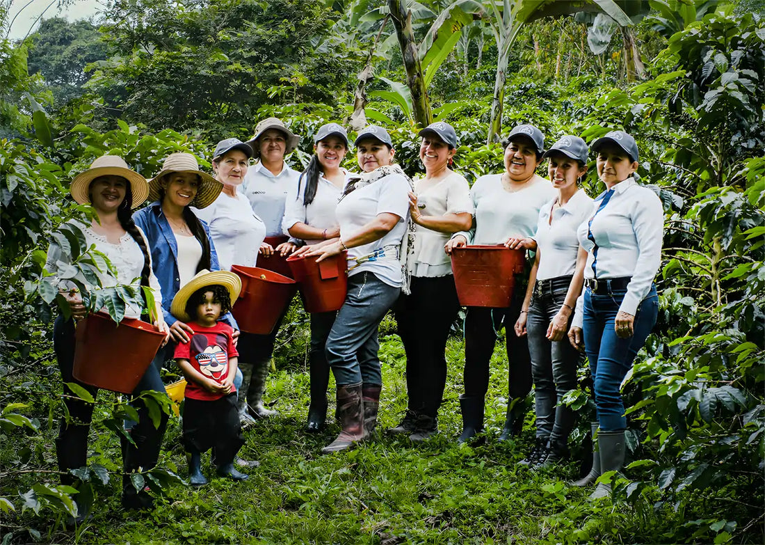 Za każdą filiżanką stoi kobieta. Dzień Kobiet z JAVA Coffee Roasters