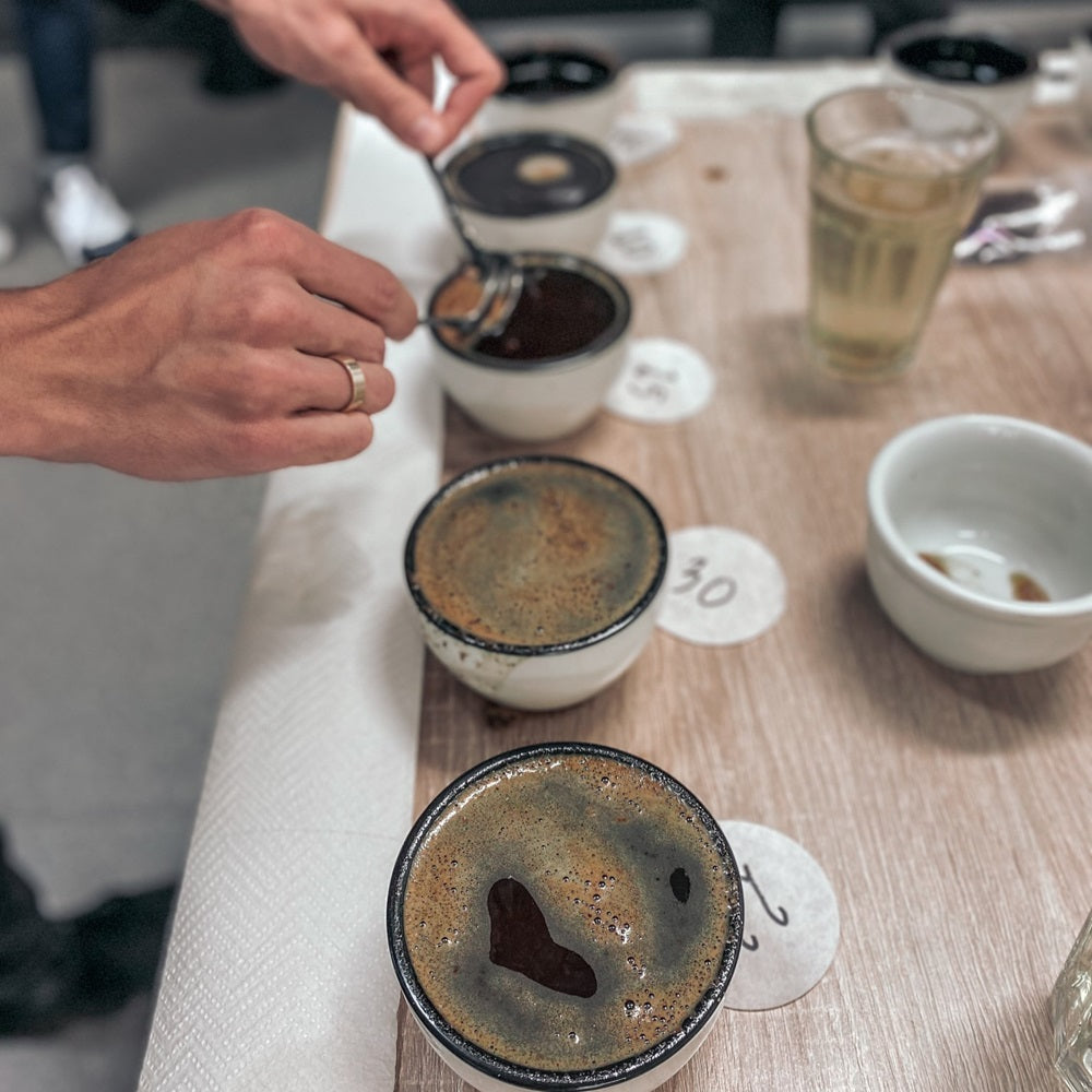 Jak zacząć swoją przygodę z kawą speciality?