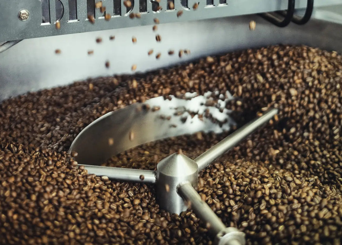 Od ziaren do aromatu, czyli jak palenie kształtuje smak kawy