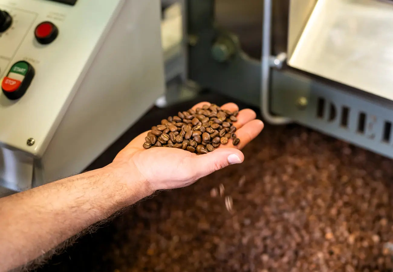 Co wpływa na smak kawy