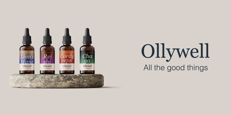 Ekstrakty grzybowe Ollywell w butelkach z pipetą: Lion’s Mane, Reishi, Cordyceps i Chaga, obok logo i hasła „All the good things”.