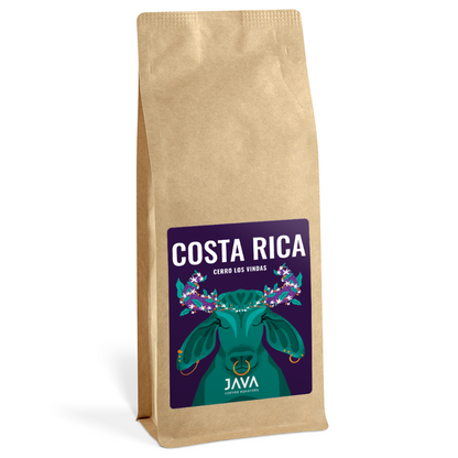 Costa Rica Cerro Los Vindas Specialty Coffee