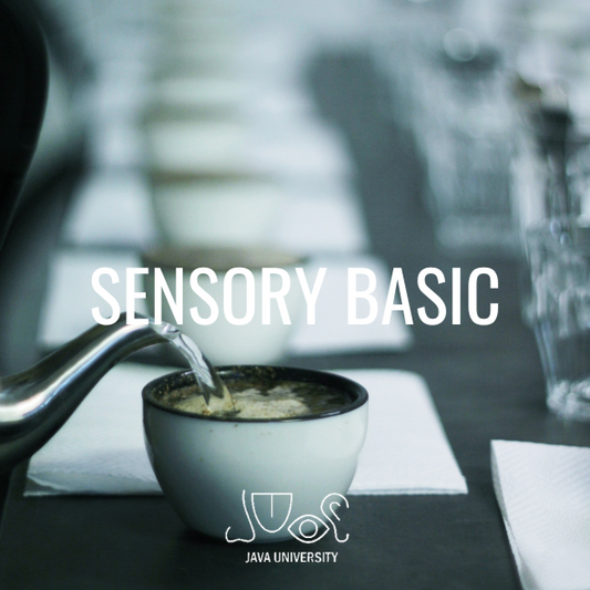 TRAINING Sensory Basic