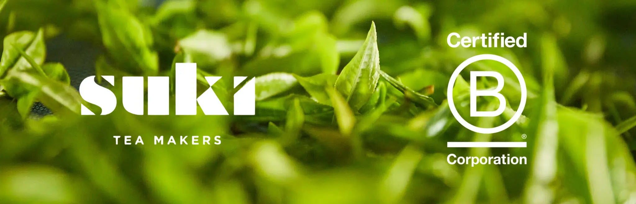 Baner z logo SUKI TEA MAKERS oraz oznaczeniem Certified B Corporation na tle świeżych, zielonych liści herbaty. Obraz podkreśla zaangażowanie SUKI TEA w zrównoważony rozwój, etyczne pozyskiwanie surowców i odpowiedzialność ekologiczną jako certyfikowana firma B Corp.