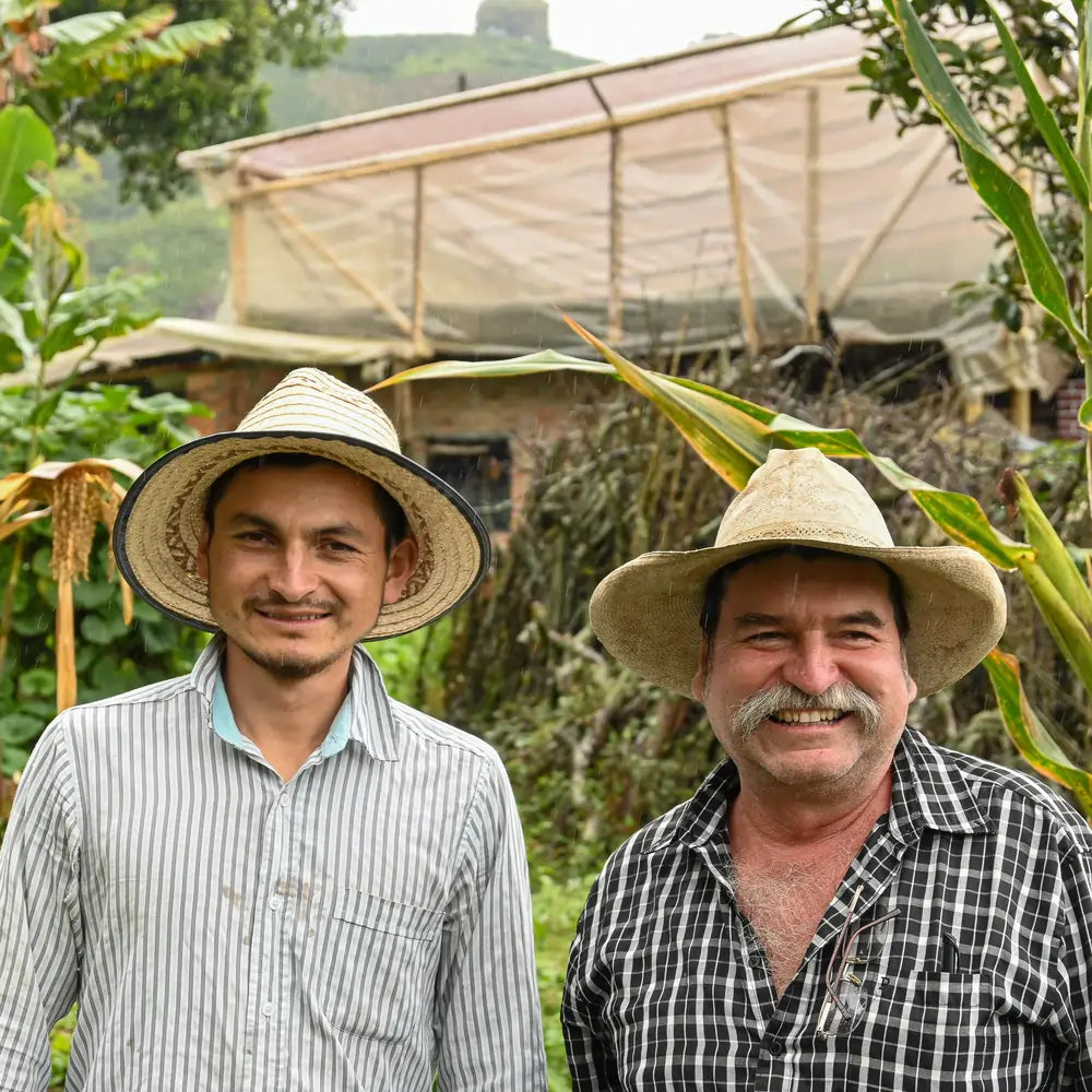 Colombia El Faldon Specialty Coffee