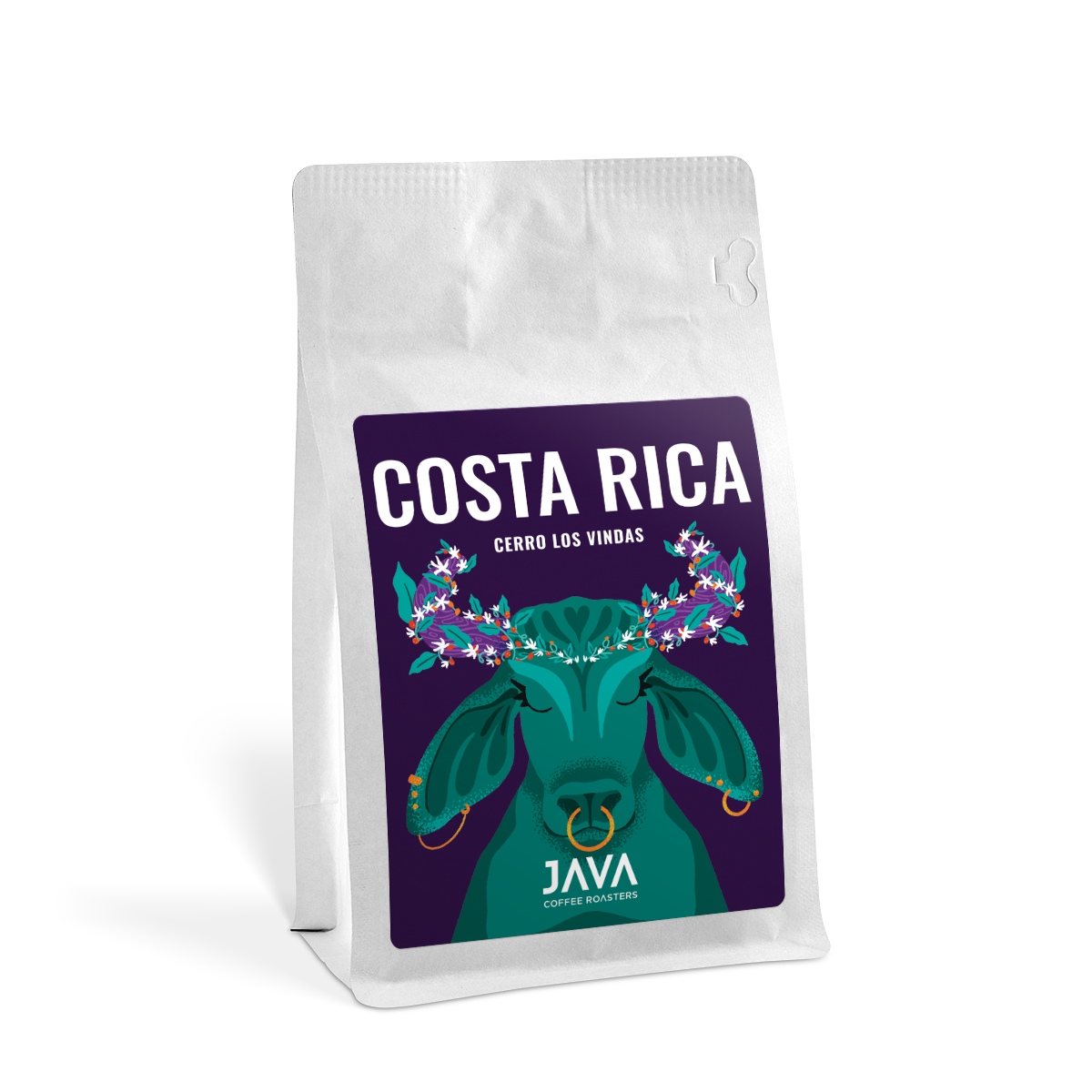 Costa Rica Cerro Los Vindas Specialty Coffee