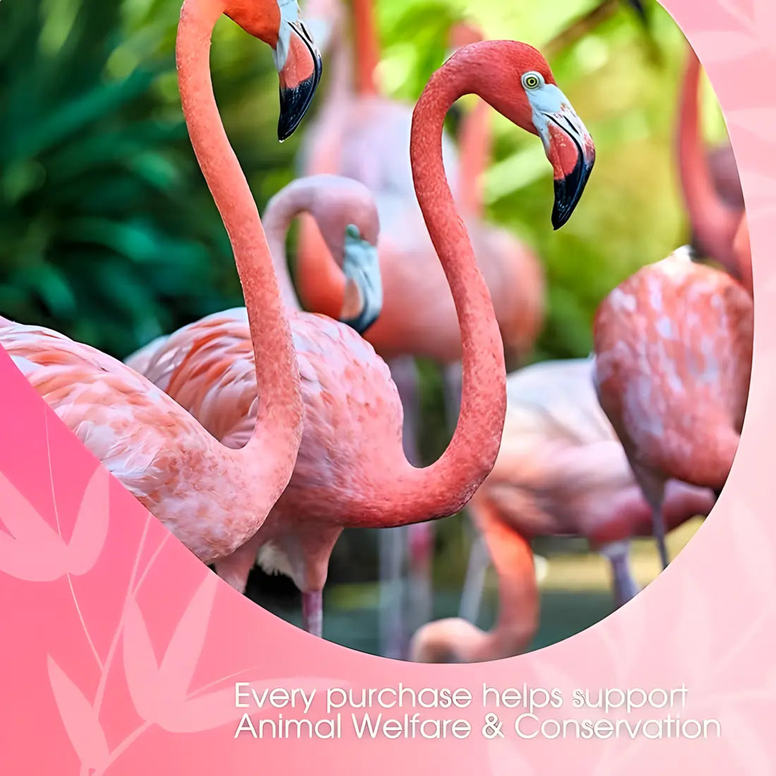 Flamingi – grafika David Rio pokazująca, że każda zakupiona herbata wspiera ochronę zwierząt i działania pro-animal welfare