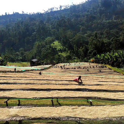 Parzenie kawy przelewowej – wlewanie świeżo zaparzonej kawy do ceramicznej filiżanki, ujęcie lifestyle