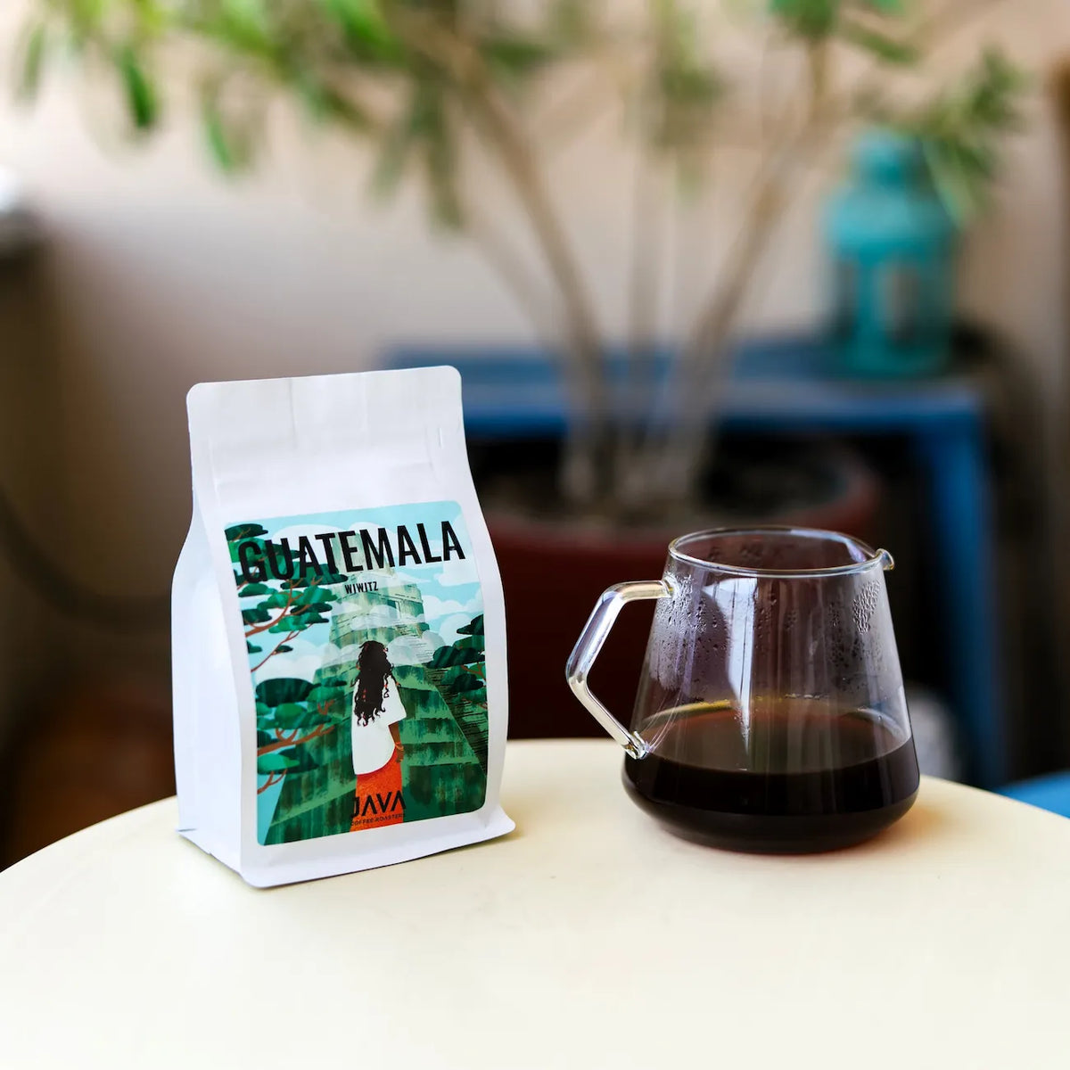 Kawa specialty Guatemala Wiwitz JAVA Coffee Roasters z dzbankiem kawy przelewowej