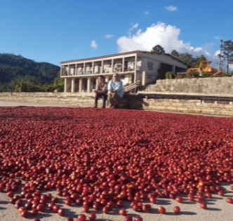 Honduras La Feliciana Specialty Coffee