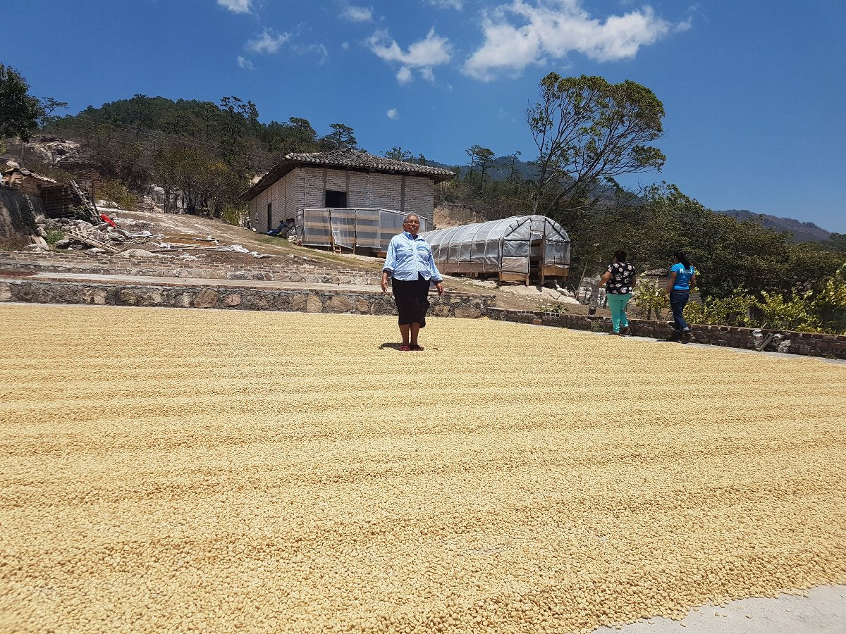 Honduras La Feliciana Specialty Coffee