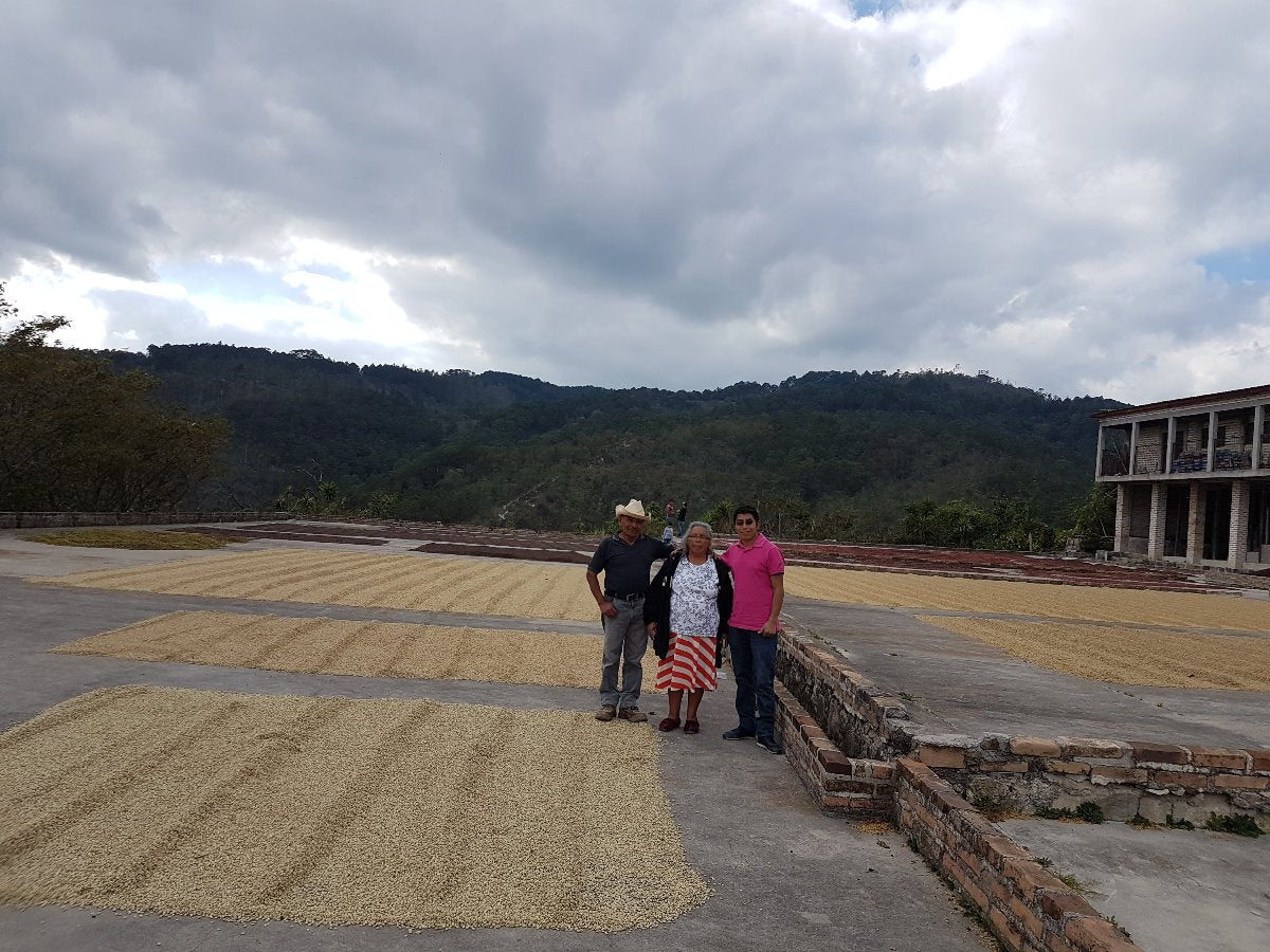 Honduras La Feliciana Specialty Coffee