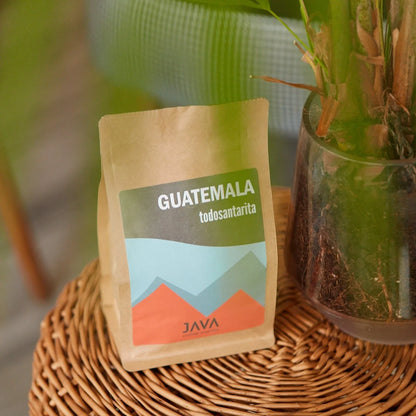  Torebka kawy Java Coffee Roasters „Guatemala Todosantarita” z etykietą przedstawiającą kolorowe góry, ustawiona na plecionym stoliku obok rośliny w szklanej doniczce.