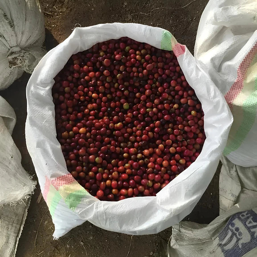 Kawa Specialty Rwanda Kamajumba