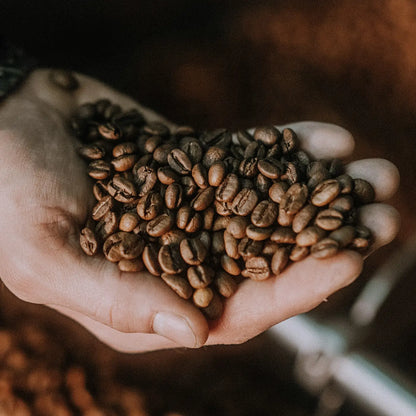 Java Honduras Kawa specialty Honduras Marcala pod espresso | JAVA Coffee – JAVA COFFEE