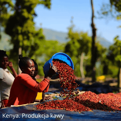 Subskrypcja Kawy Miesiąca JAVA Coffee - Produkcja kawy w Kenyi