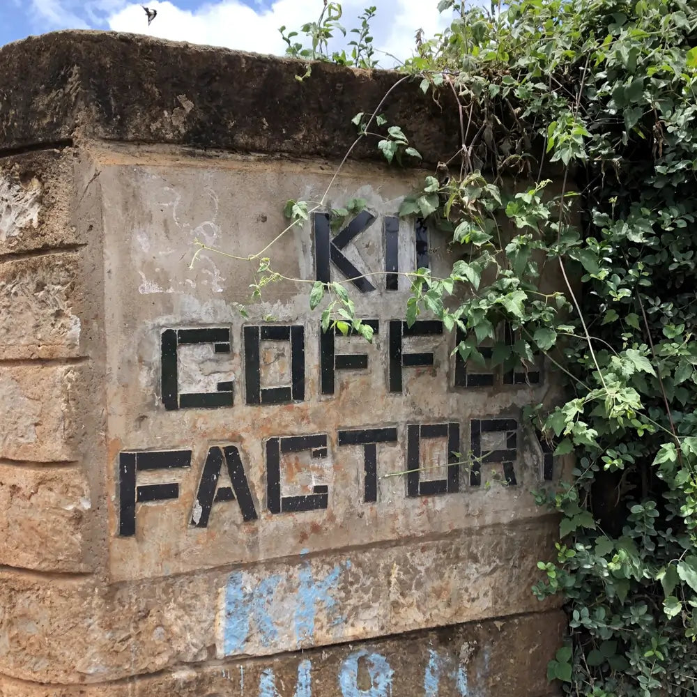 Kenia Rungeto Kii Coffee Factory – wejście do stacji obróbki kawy specialty w regionie Kirinyaga, miejsce produkcji kawy Kenya Rungeto Kii