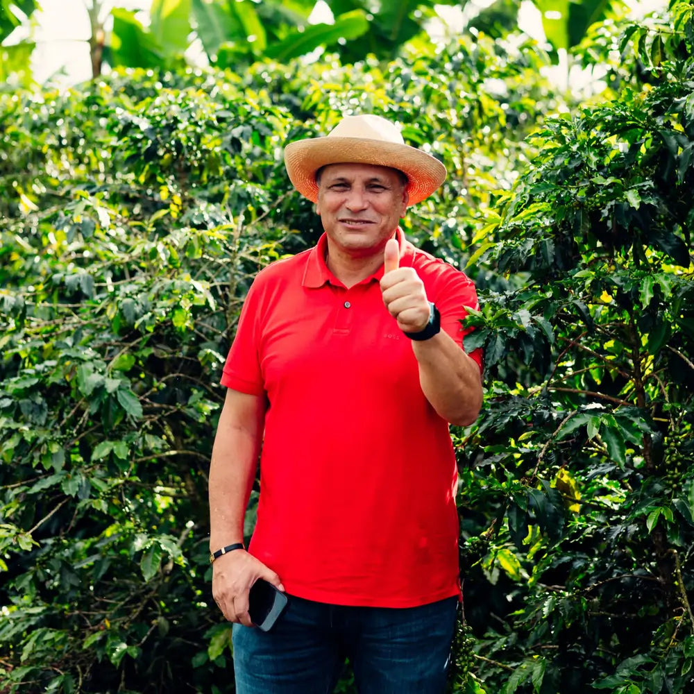 Plantator kawy na farmie La Albania w Kolumbii współpracującej z Java Coffee Roasters – uprawa wysokiej jakości arabiki