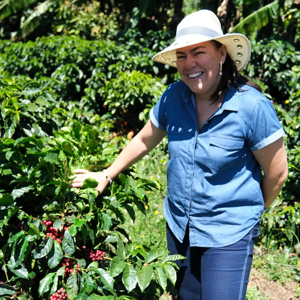 Kobieta w kapeluszu stojąca przy krzewach kawowca z dojrzałymi czerwonymi owocami na plantacji Las Lajas w Kostaryce