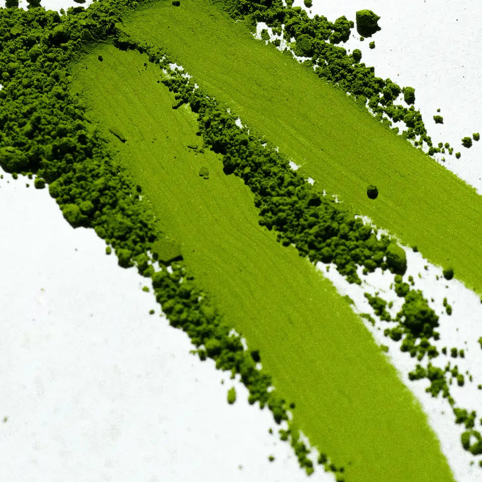 Proszek matcha Oromatcha – tekstura japońskiej zielonej herbaty matcha na białym tle