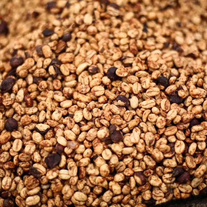 Ziarna kawy specialty Mexico Donaldo Ambrosio – surowe ziarna kawy z Meksyku przed paleniem, zbliżenie struktury ziaren.