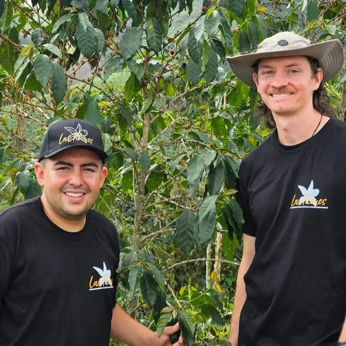 Producenci kawy na plantacji Colombia Las Flores wśród krzewów kawowca