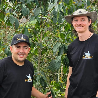 Producenci kawy na plantacji Colombia Las Flores wśród krzewów kawowca