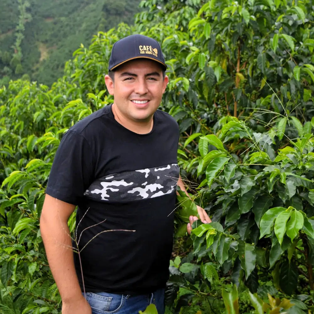 Rolnik na plantacji kawy Colombia Las Flores wśród zielonych krzewów kawowca