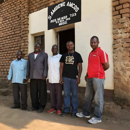 Producenci kawy z kooperatywy Sambewe AMCOS w Tanzanii – lokalna społeczność farmerów wspierająca uprawę kawy