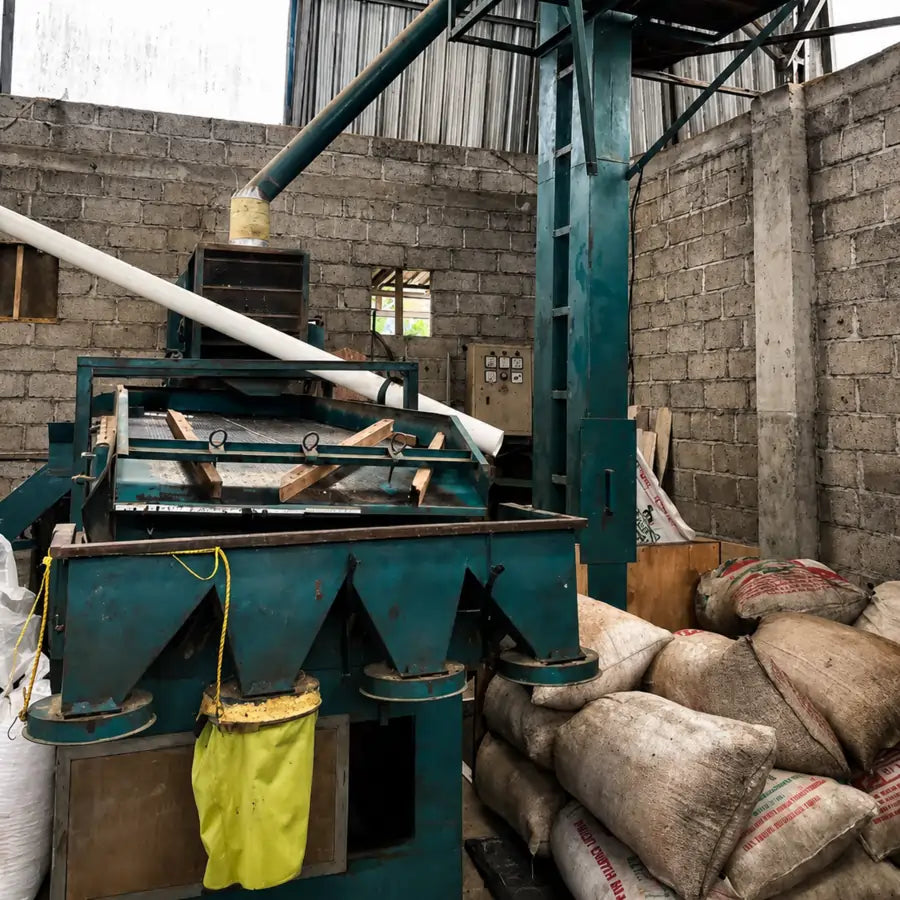 Maszyna do sortowania zielonej kawy specialty Bali Kintamani w stacji obróbki w Indonezji – ziarna dla JAVA Coffee Warszawa