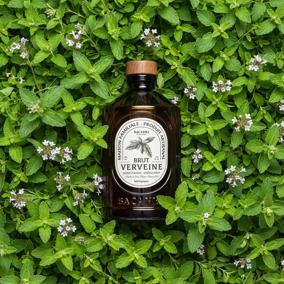 Bacanha Brut Verveine – organiczny syrop werbena do lemoniady, drinków i koktajli na tle świeżej werbeny