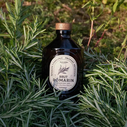 Syrop Bacanha o smaku rozmarynu 400 ml – organiczny syrop wśród świeżych gałązek rozmarynu, produkt francuski