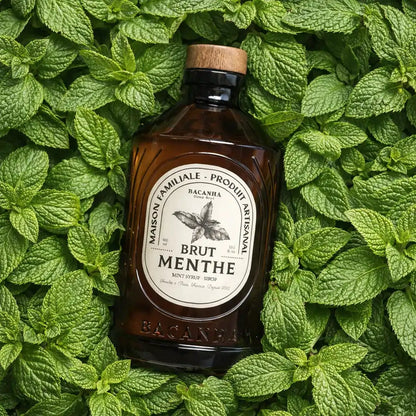 Syrop miętowy Bacanha Brut Menthe BIO – butelka syropu na tle świeżych liści mięty, zdjęcie inspirowane składnikiem