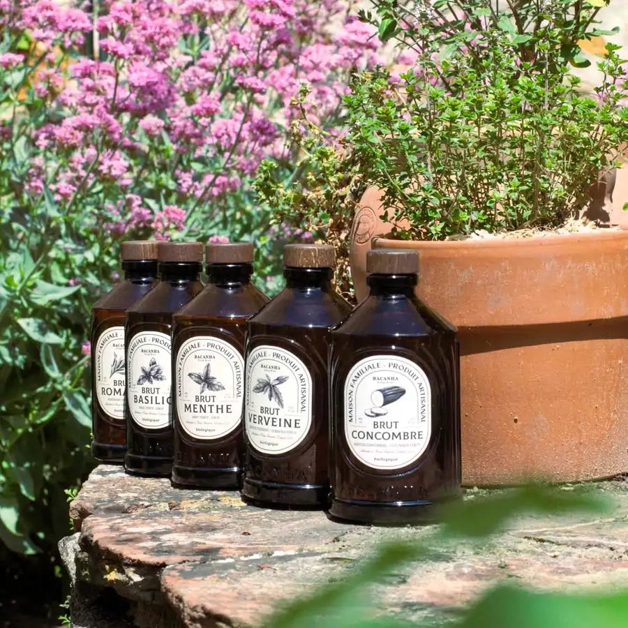 Zestaw organicznych syropów Bacanha – mięta, bazylia, werbena, ogórek i rozmaryn – kolekcja wiosenna