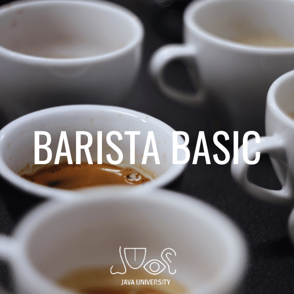 SZKOLENIE Barista BASIC - JAVA University