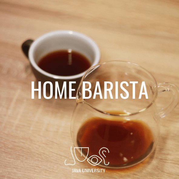 SZKOLENIE Home Barista - JAVA Coffee