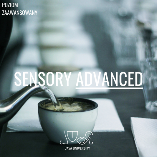 SZKOLENIE Sensory Advanced