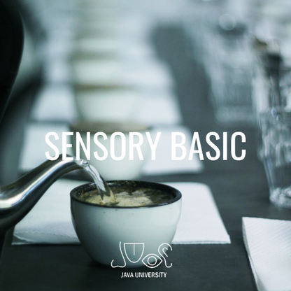 Individual Sensory Basic Training