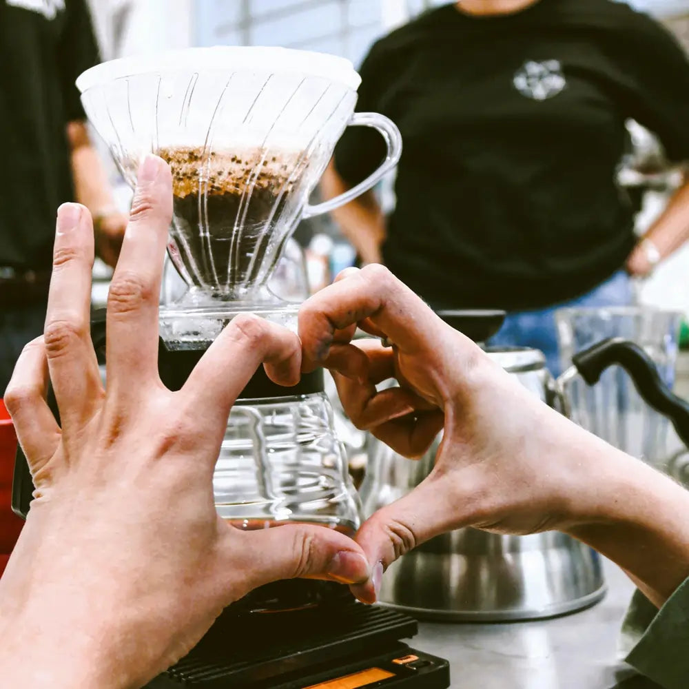 Uczestnik formuje serce z dłoni wokół dripera V60 podczas parzenia kawy na warsztatach JAVA Coffee.