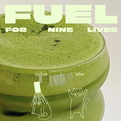 Porównanie before i after spienionej matchy Yōkiro – kremowa pianka matcha w szklance, ilustracje kota i hasło „Fuel for nine lives”