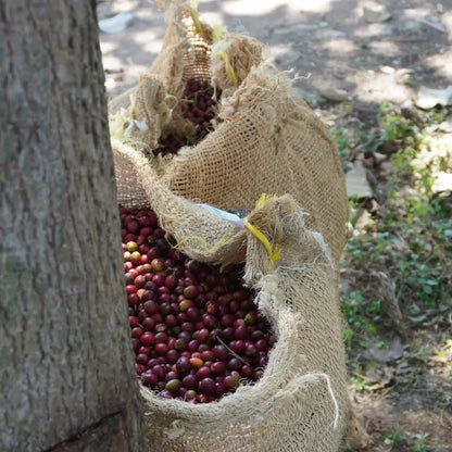 Kawa speciality Tanzania Mwankumbi