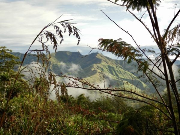 Papua Nowa Gwinea - Region Bena