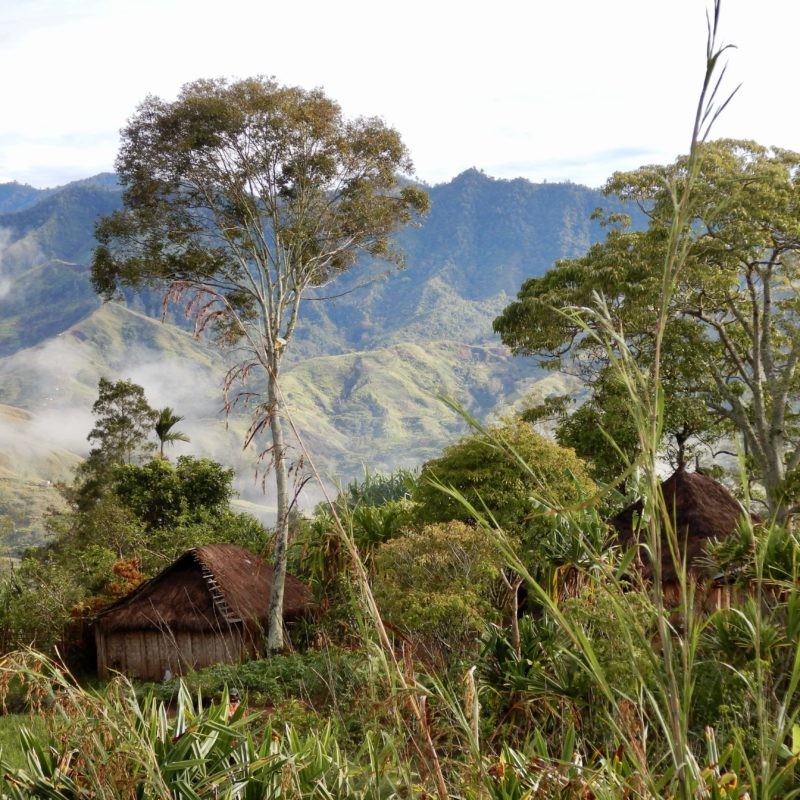 Papua Nowa Gwinea Korofeigu